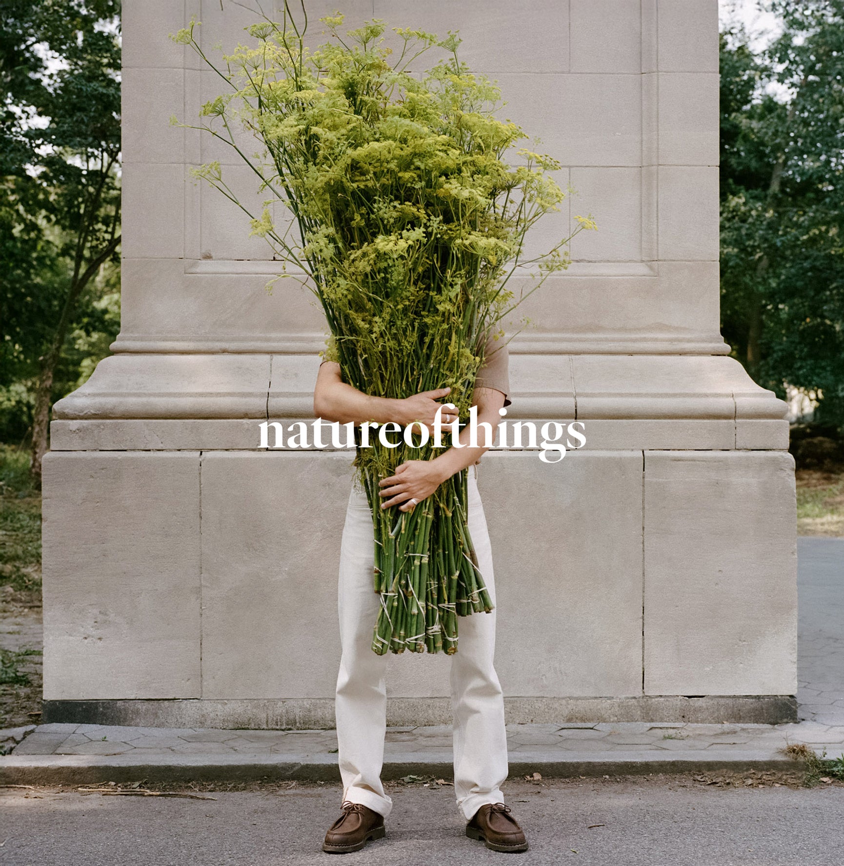 Awakening Santal Body Lotion — natureofthings