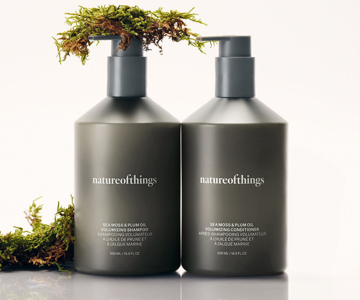 CLOVER トリートメント ダークグレー Vetiver & Aloe Leaf Hydrating Hair Duo — natureofthings